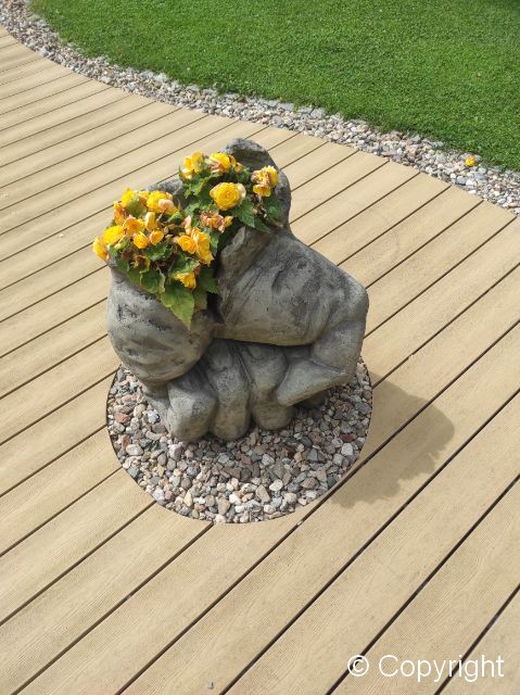 Pięść Herkulesa (z funkcją donicy) - obrazek 4