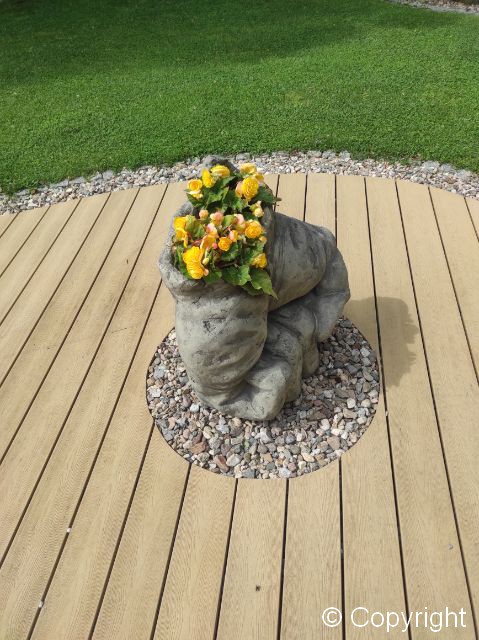 Pięść Herkulesa (z funkcją donicy) - obrazek 3